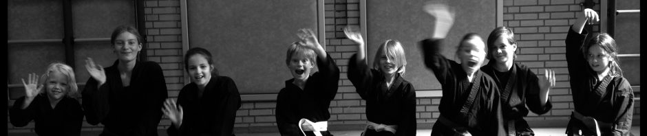 Bujinkan Nintai Dojo Rotterdam